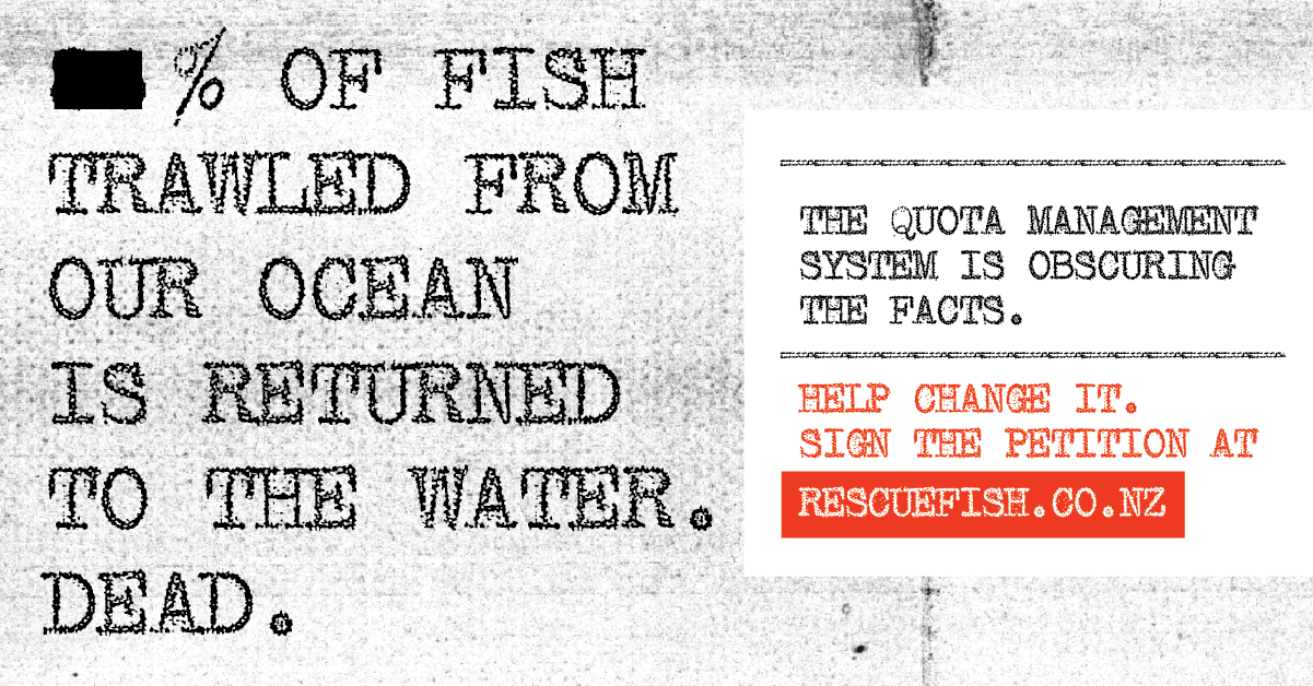 Rescue Fish – A pathway to abundance